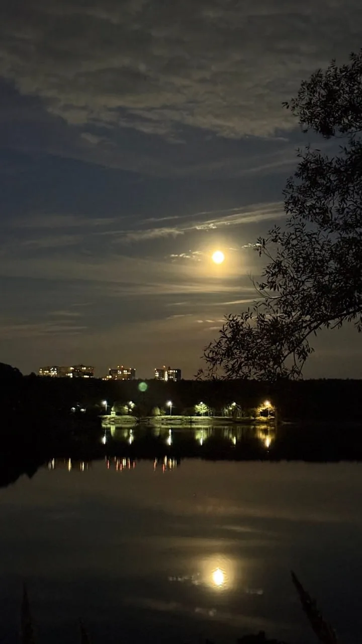 Ночное Протвино при лунном свете🌕 доброй ночи!