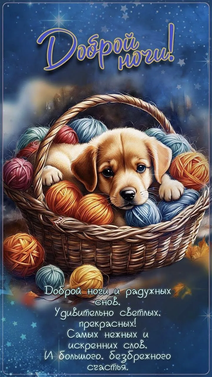 #СпокойнойНочи 🧶