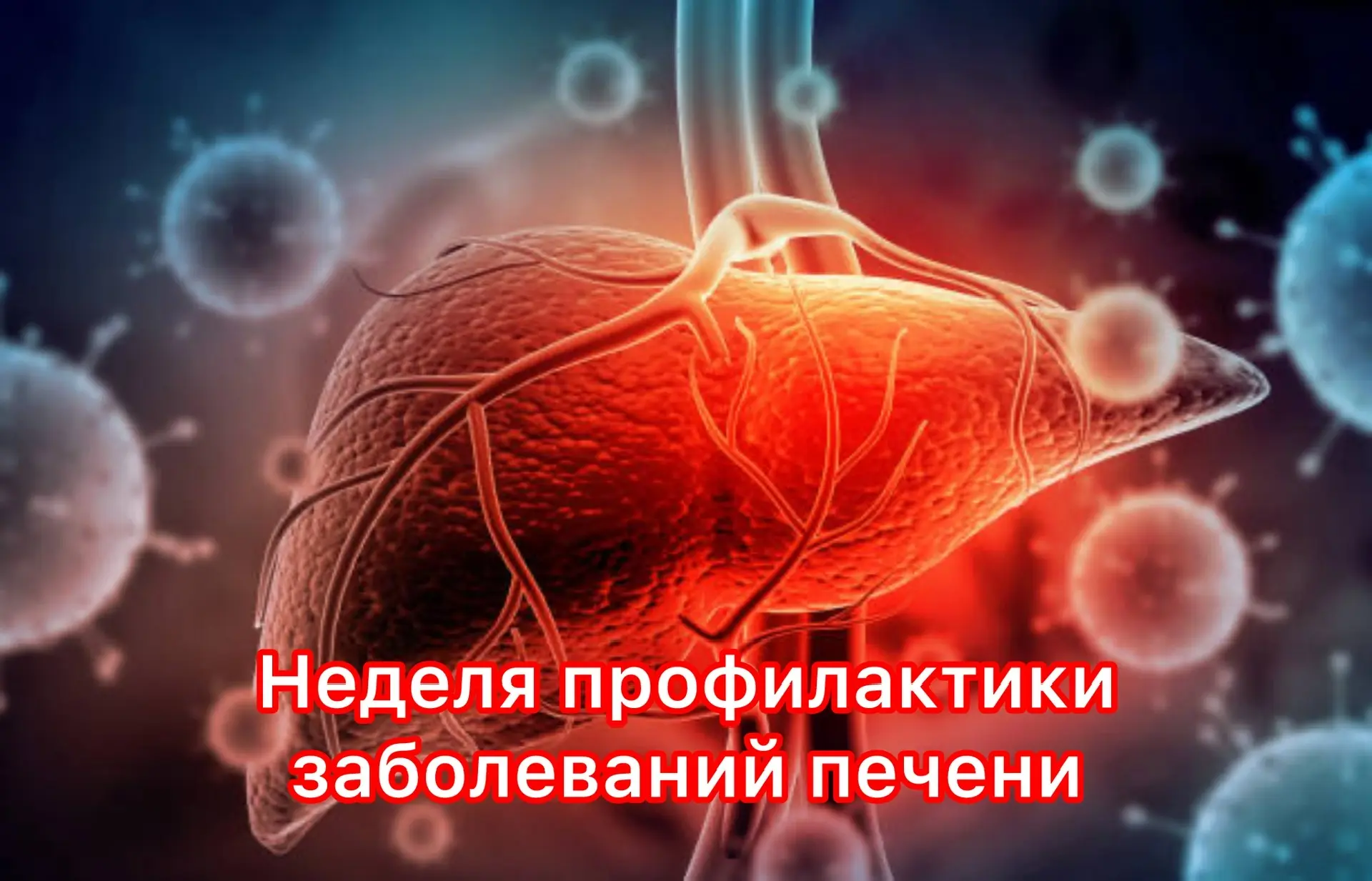 🗓 С 27 июля по 2 августа — Неделя профилактики заболеваний печени.