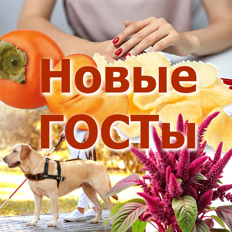 Новинки в мире стандартизации.