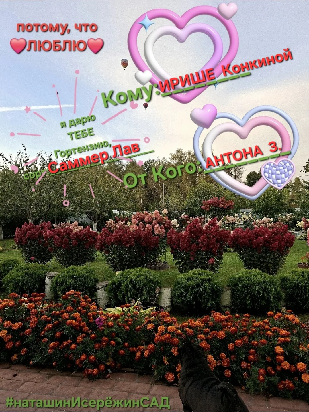 ТЕБЕ 🎁ПОДАРОК🎁 Потому, что ❤️люблю❤️  С днём ВЛЮБЛЁННЫХ💞  Признавайтесь в любви сегодня, сейчас,  ✅️
