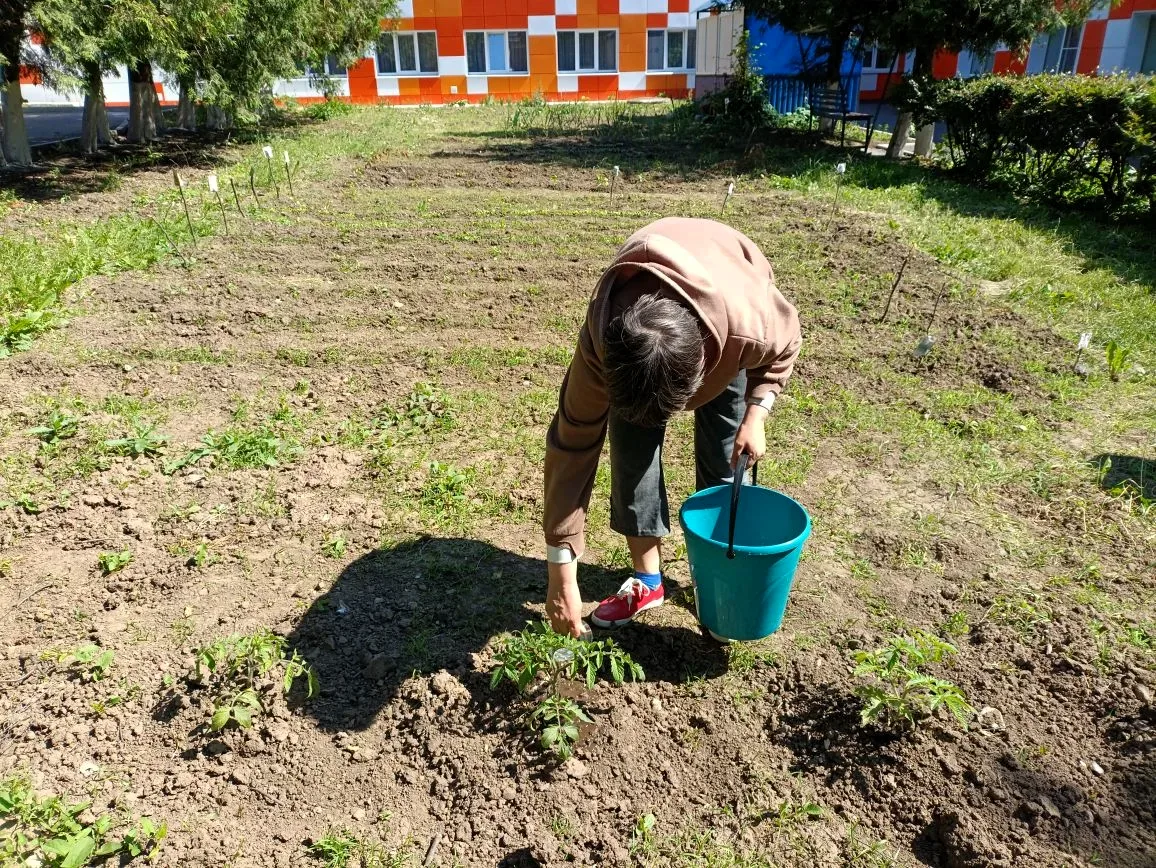 🌱Ухаживаем за огородом🥒