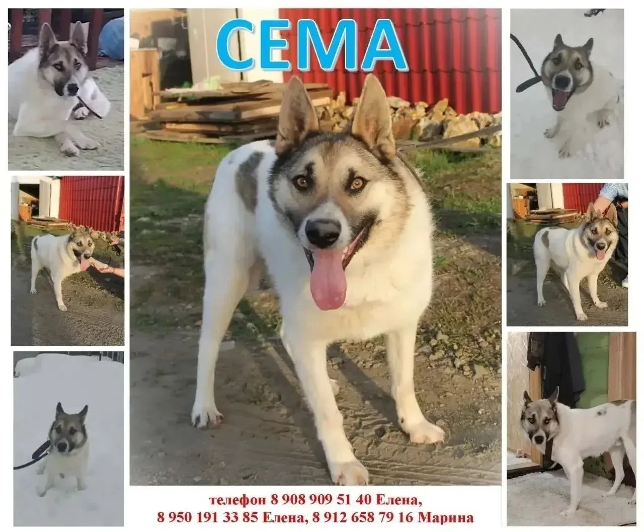 Сема!💗