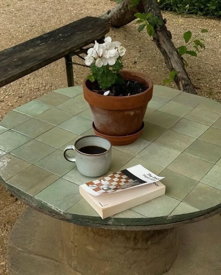 Кофе, книга, прекрасный цветок - что может быть лучше?! ☕️🪴📔

ПР | Про Растения