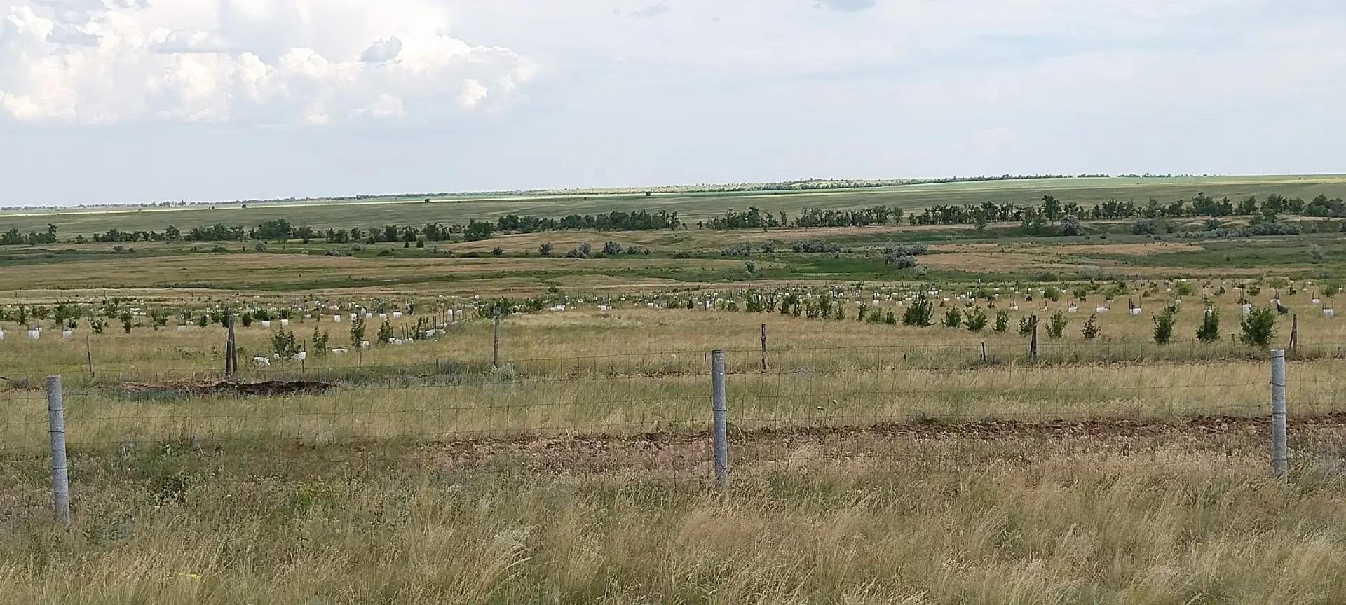 ☀ 12 июня 2026 г. в Сад Победы "Сталинград" приехал наш крепкий доброволец со Ставропольского края с