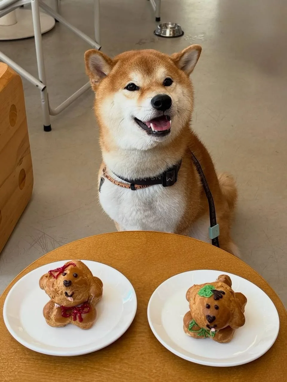 На этих выходных на витрине Lu.Co. появятся…

Песики! 🐶 Это летний спешал десерт, который команда п