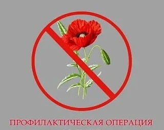 Уважаемые жители города Балашова, Балашовского, Романовского и Самойловского районов!

С 27 июля по 