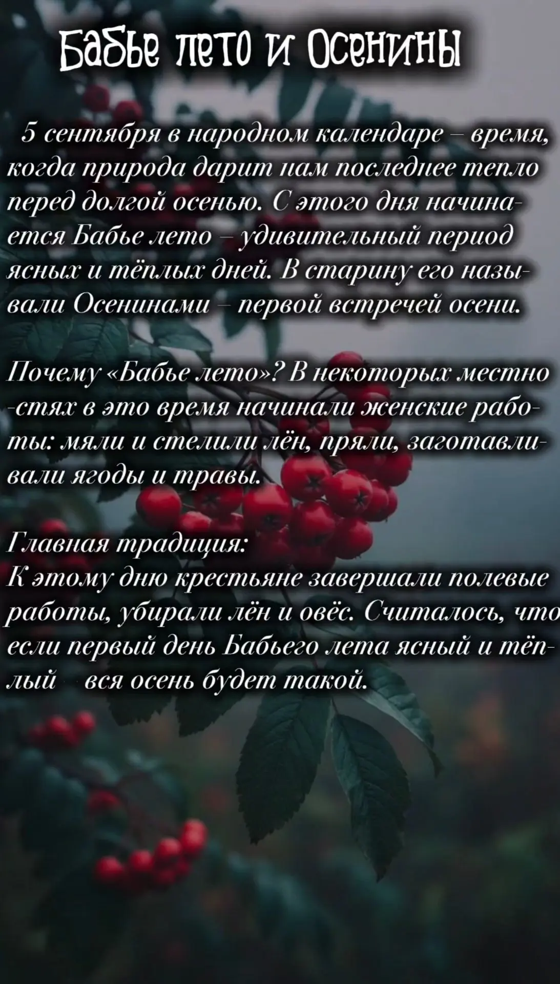 Ставьте ❤️, если любите народные традиции! А вы собираете бруснику или рябину? Делитесь...