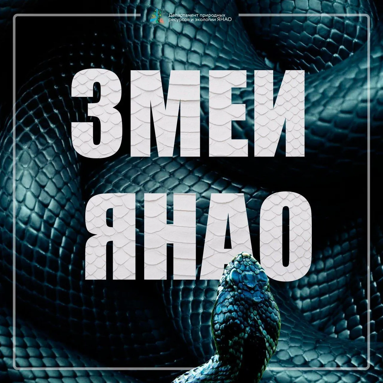 Летний отдых на природе — это замечательно, но не стоит забывать об осторожности. В тёплое время год