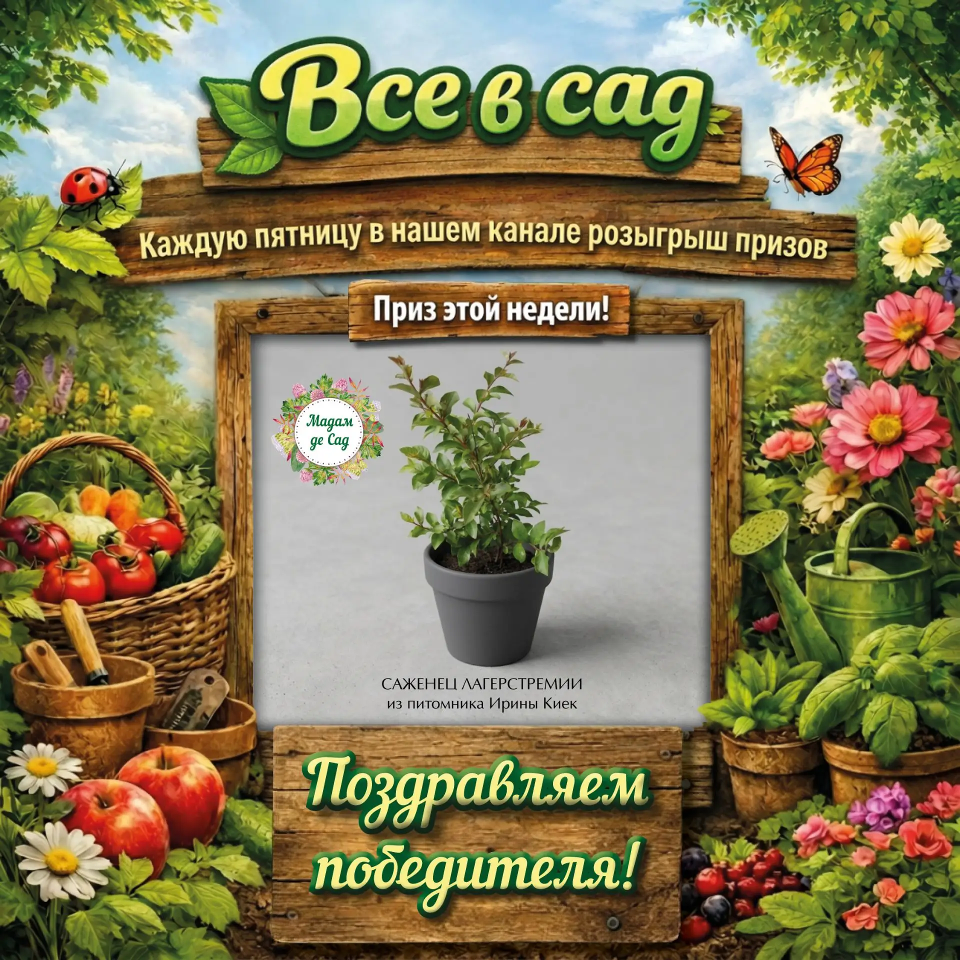 Поздравляем победителя нашего еженедельного розыгрыша Zukhushik !

🌸🌸🌸🌸🌸🌸🌸🌸🌸

Следите за ли