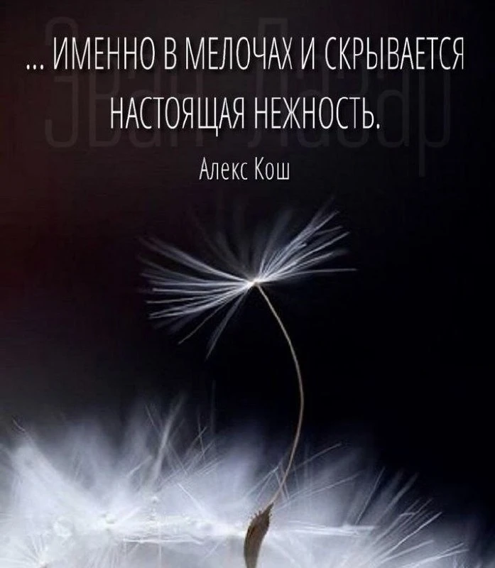 #Мудрость #Цитаты