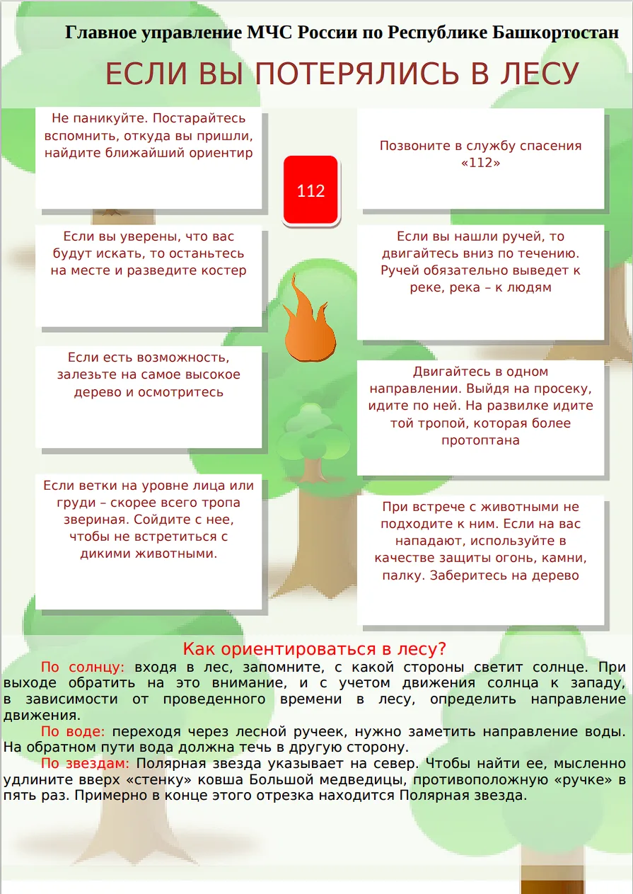 🌳 Если вы потерялись в лесу