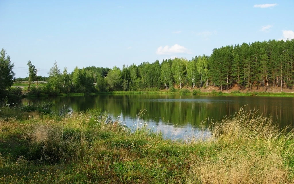 Присылайте Ваши фото в "Предложить пост"