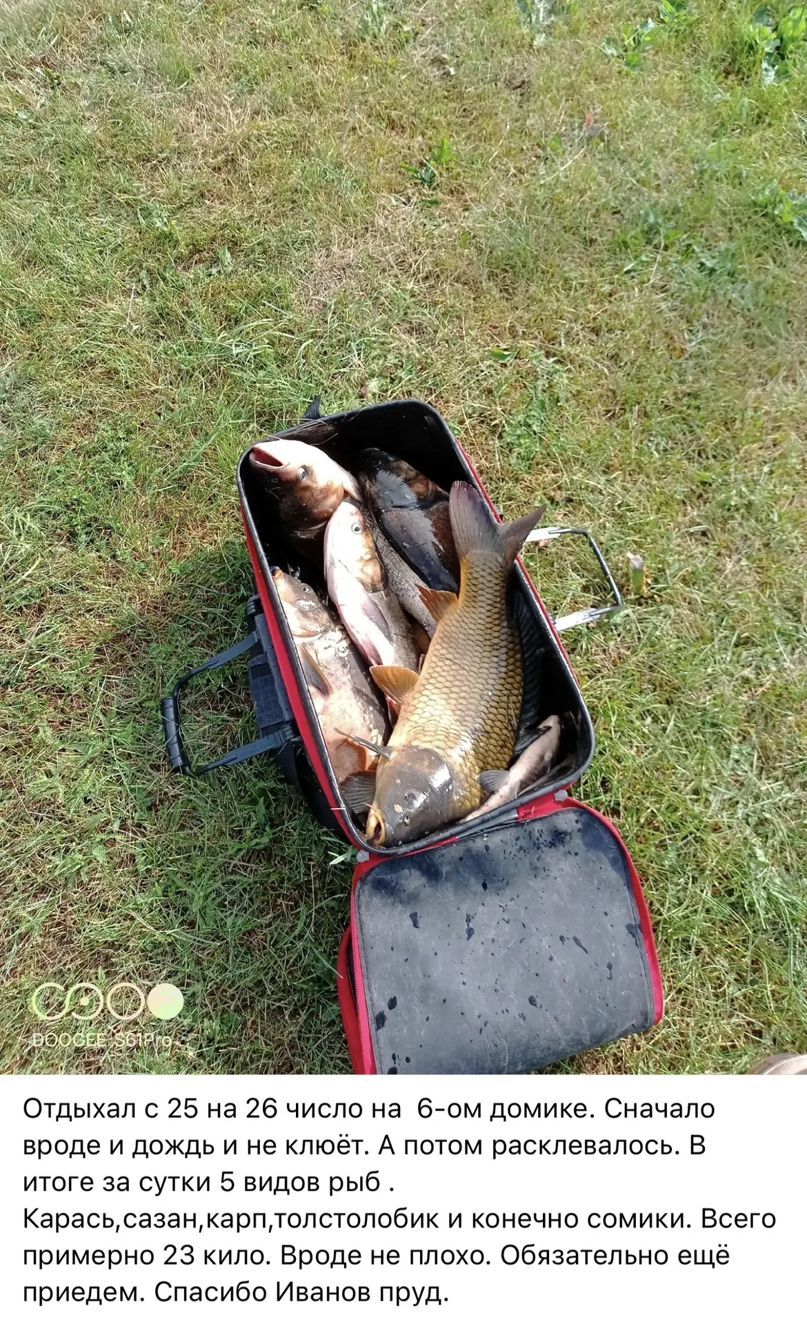 Панинский район, село Казиновка, Иванов пруд 🎣