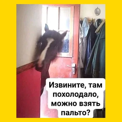 Полный Хохотамбл! Подпишись скорее