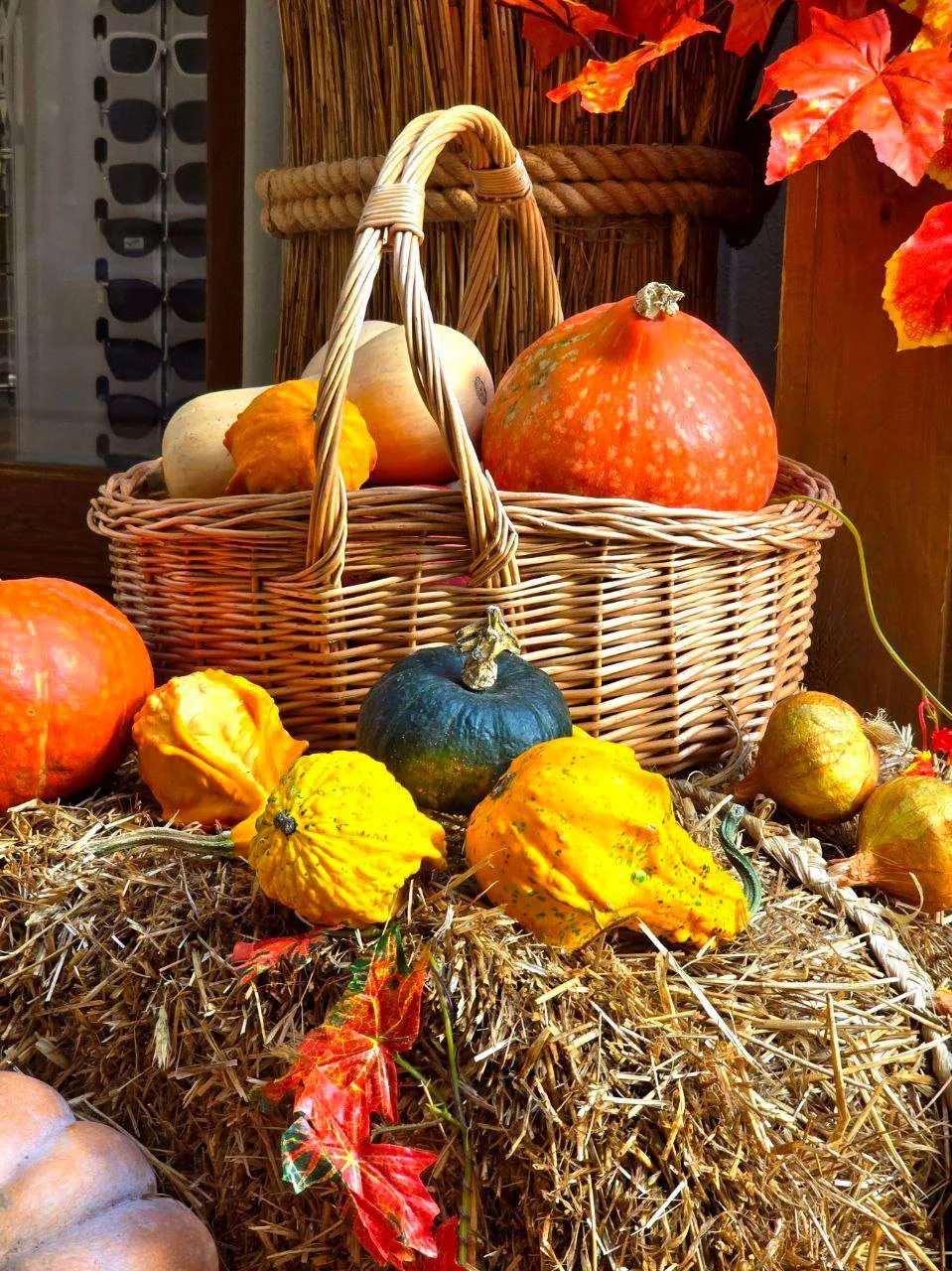 Праздник урожая в ГУМе 🍂🎃