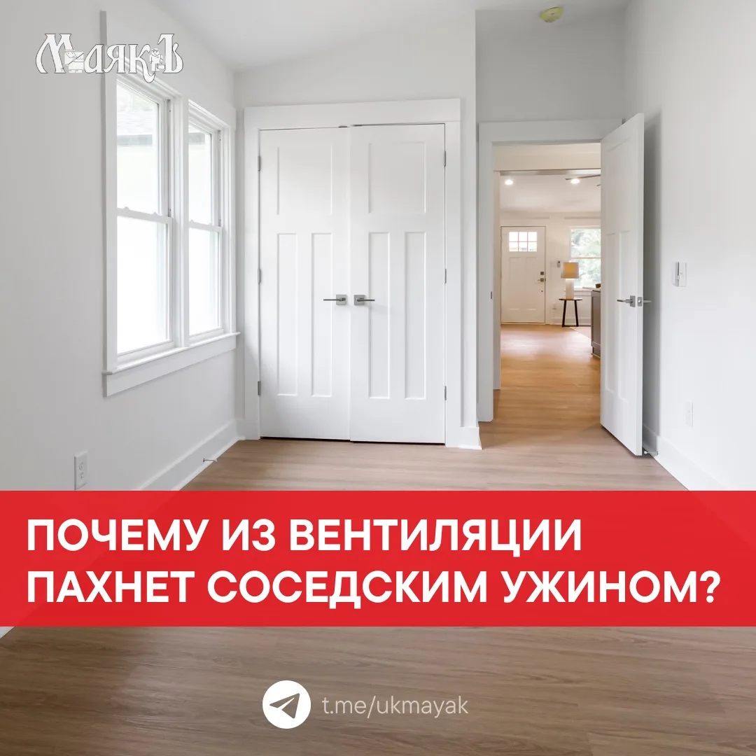 💨Летом многие жители сталкиваются с необычной ситуацией, вместо того чтобы вытягивать ...