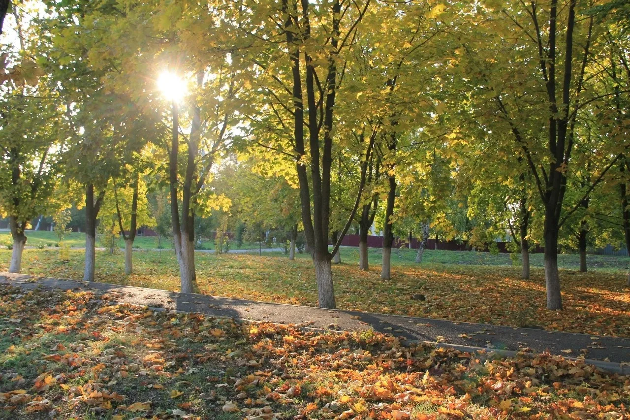 🍁 Дыхание осени в Азовском районе ощущается все сильнее