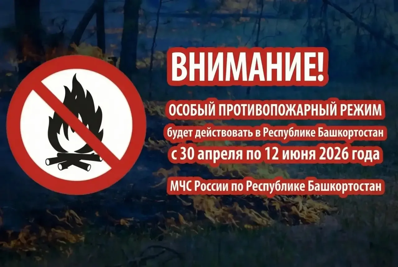 ⚠️ Внимание: в Башкортостане вводится особый противопожарный режим