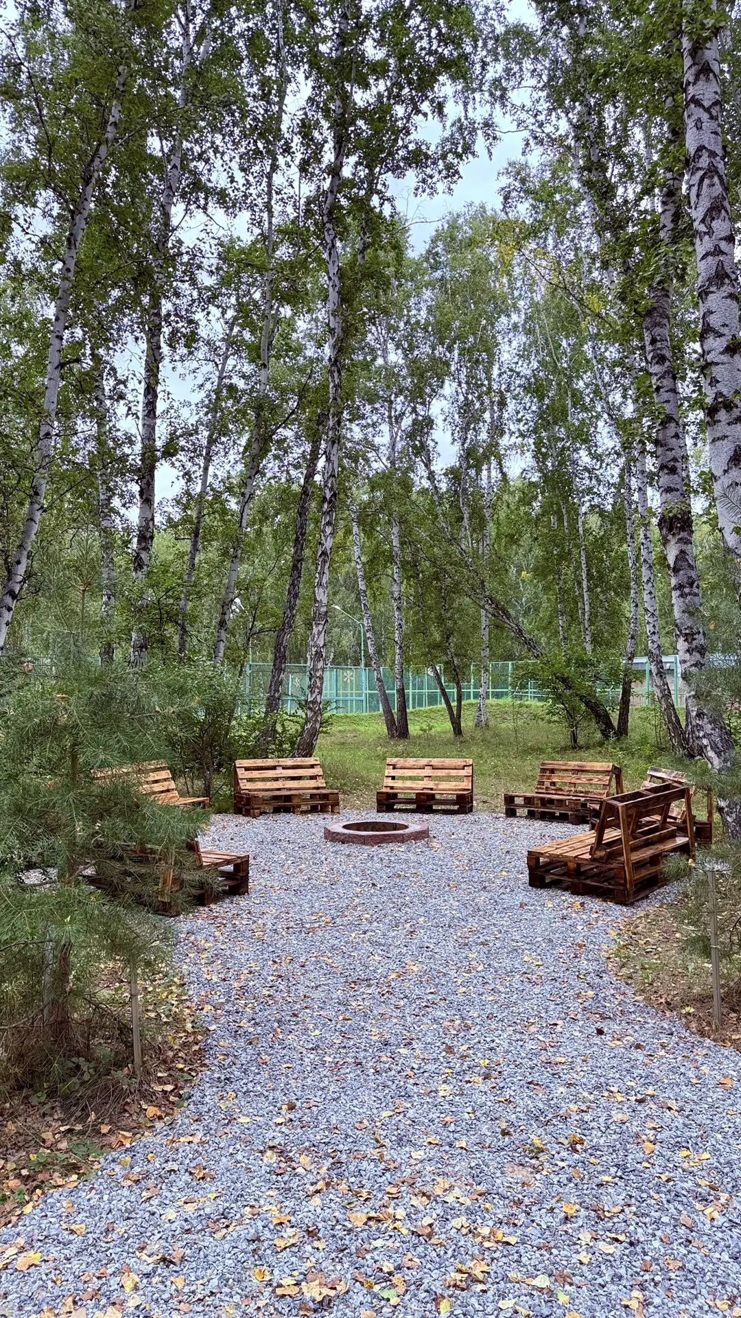 Дорогие друзья!🌲