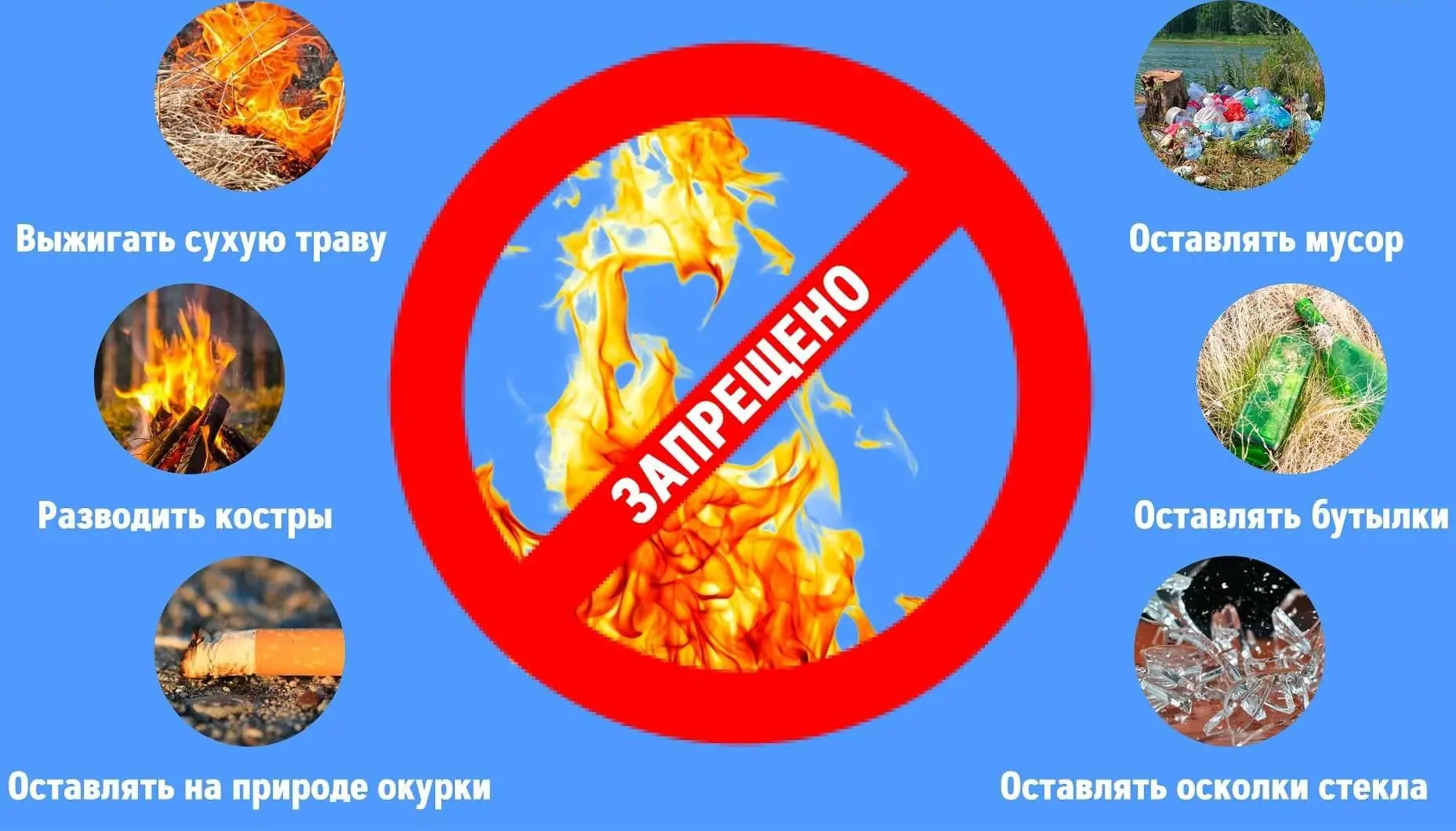 Напоминаем, что на территории парка запрещается: 
 
- замусоривание, захламление зеленых насаждений 
