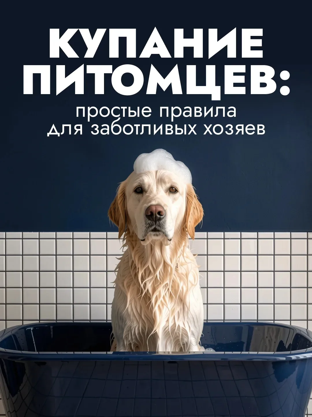 Питомец видит наполненную ванну и тут же прячется под диван?