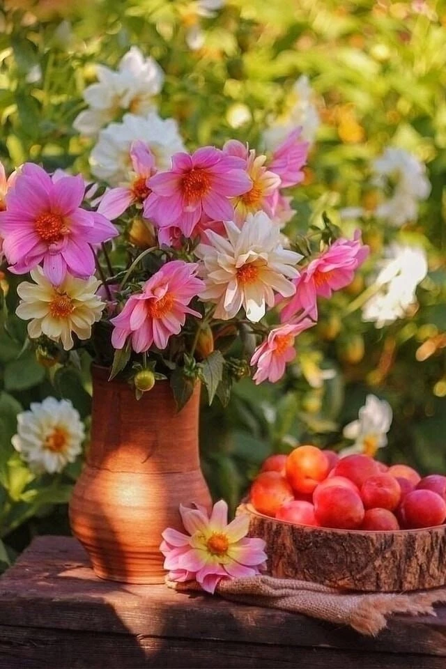 🌺Каждое утро - начало маленькой жизни, которая будет длиться целый день.