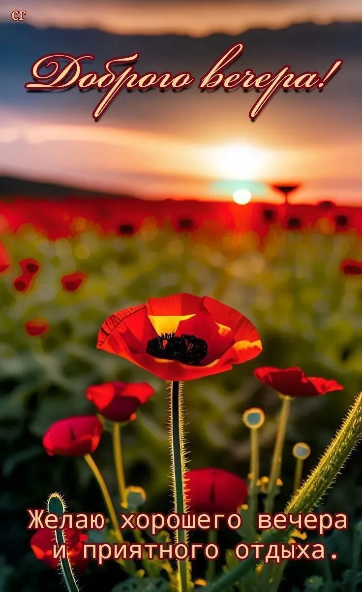 ❤️🔶🌿❤️🔶🌿❤️🔶🌿

Желаем тихой и Благословенной ночи, дорогие! Пусть Ангел Хранитель оберегает ваш