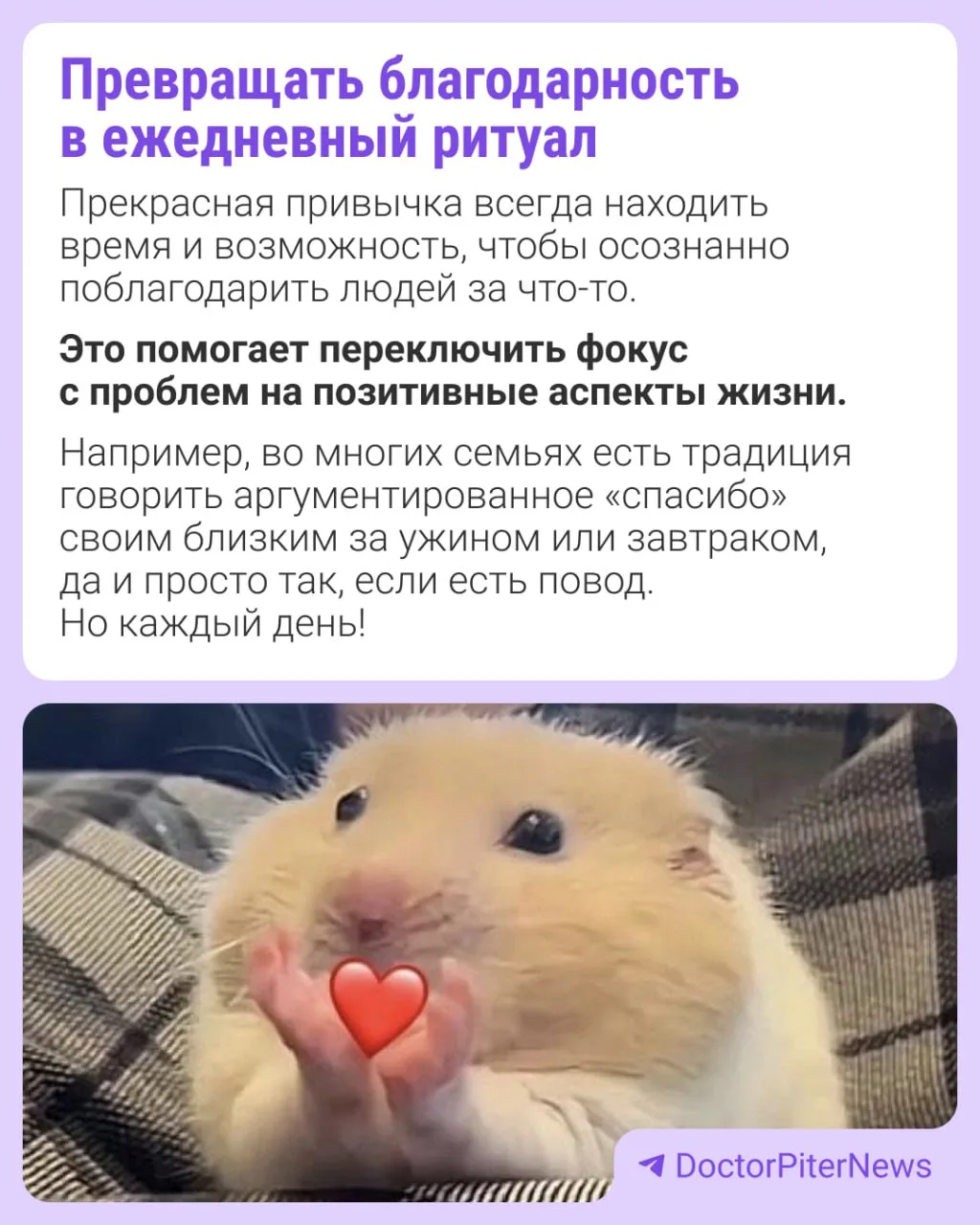 🧐 Всего 5 действий в день помогут стать счастливее?  По крайней мере, так считает психолог Сьюзи Пет