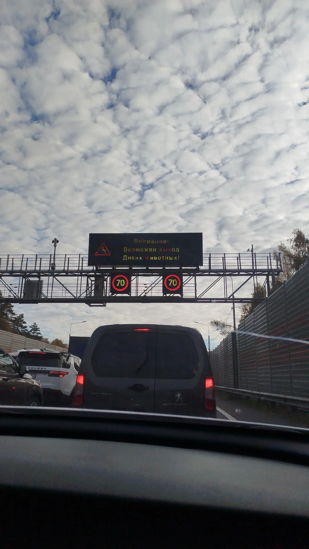 В пути 🚘