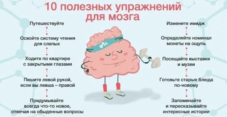 Для поддержания здоровья мозга необходимо: 
 
✅сохранять в течение всей жизни высокий уровень умстве