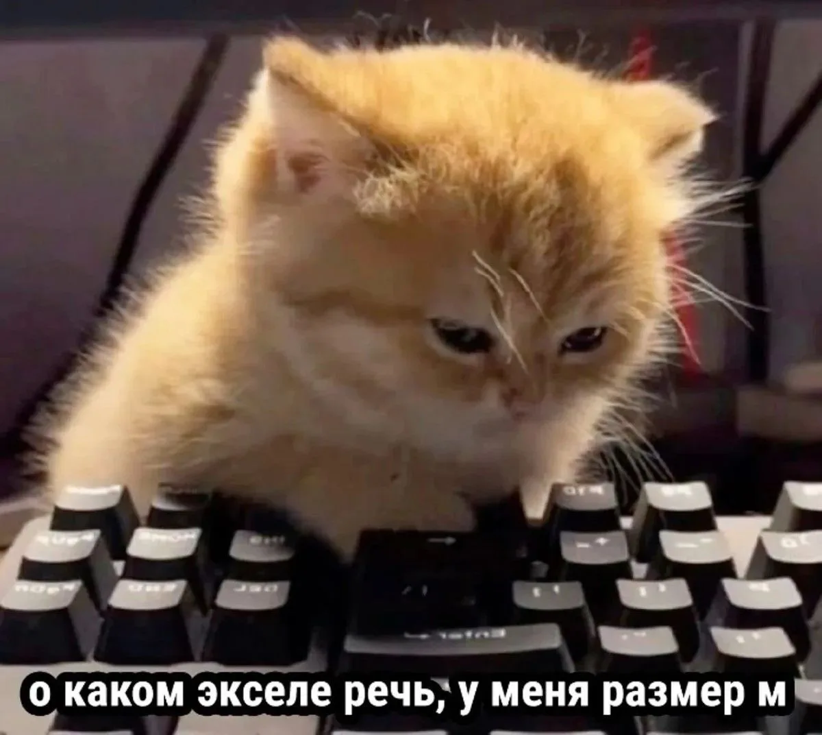 🔥Не успевали следить за новостями? Мы всё собрали в одном месте – читайте дайджест!
 
✨Корпорация р