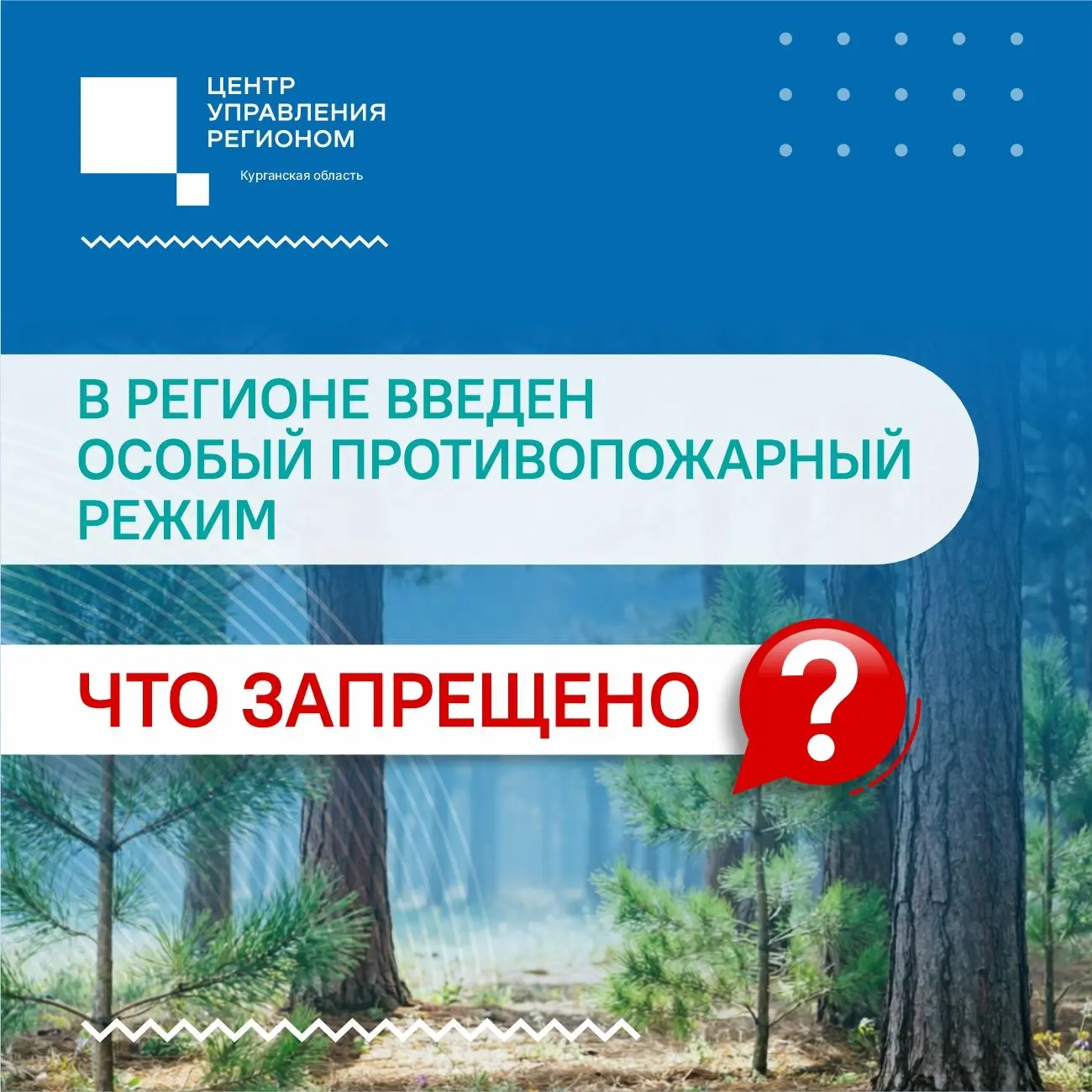 Впереди праздничные выходные.
