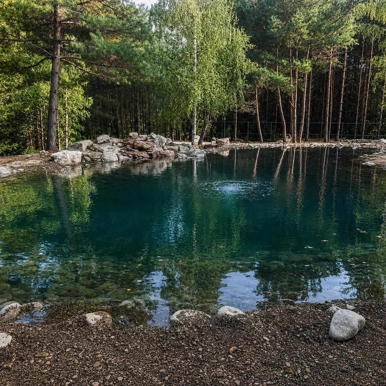 ПРОЗРАЧНАЯ ВОДА В ВОДОЁМЕ НАЧИНАЕТСЯ НЕ С ХИМИИ
