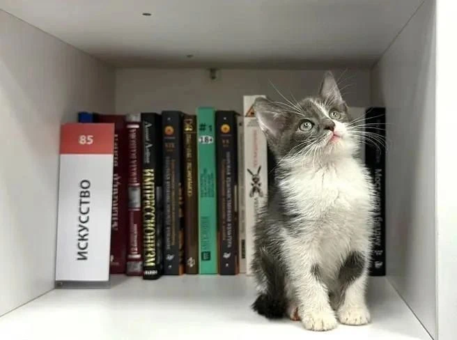 Благотворительная акция «Книга за корм»