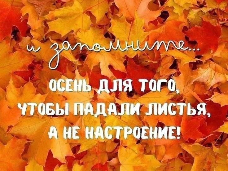 Осенью через Москву проходят маршруты миграции вальдшнепов – птиц, занесенных в Красную...