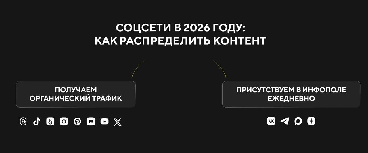 Кто сильнее медведь или акула?