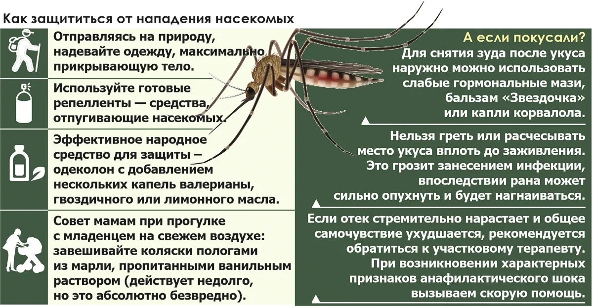 Важно знать‼️Для вас родители 🍓🦋🌸.