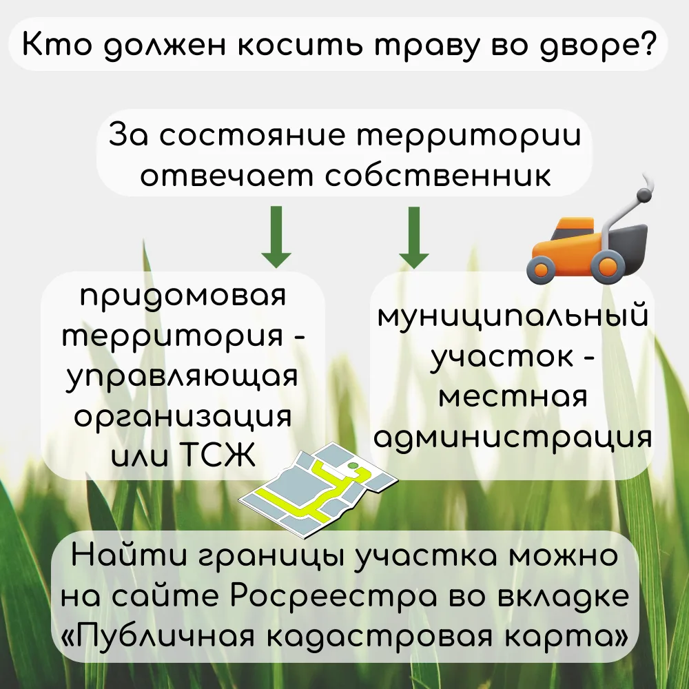 С наступлением лета в Госкомитет поступают обращения о высокой траве во дворах