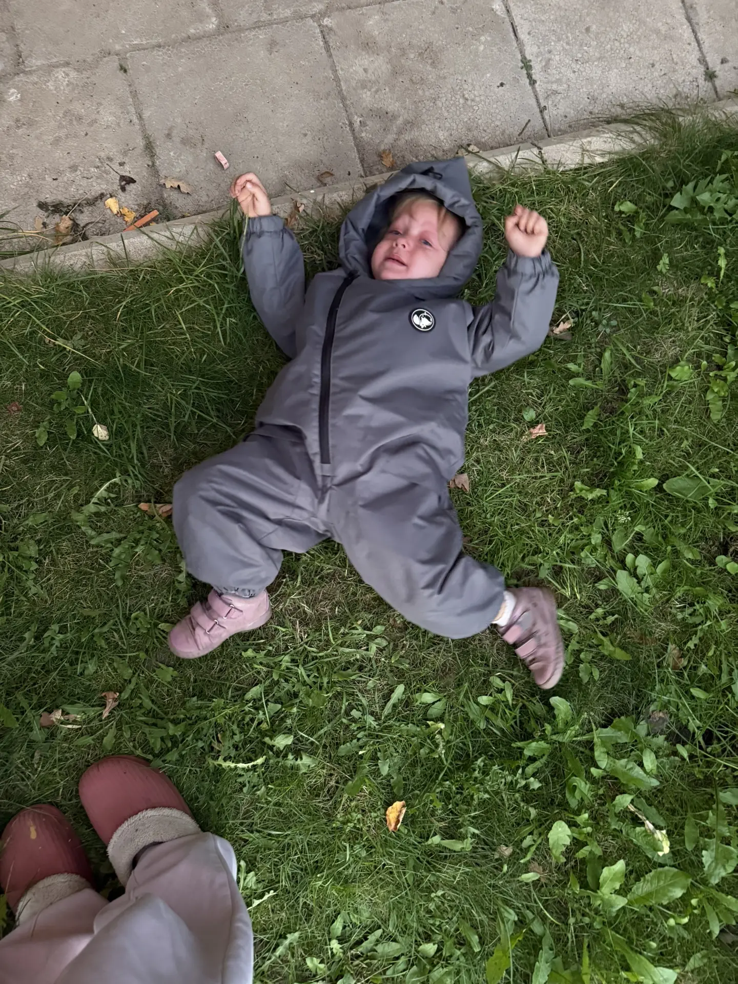 А вот и гномик с волчонком приехали😁
