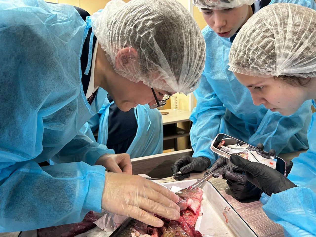 Восьмиклассники школы на Глеба Успенского попробовали себя в роли ихтиологов‑ветеринаров.   На масте