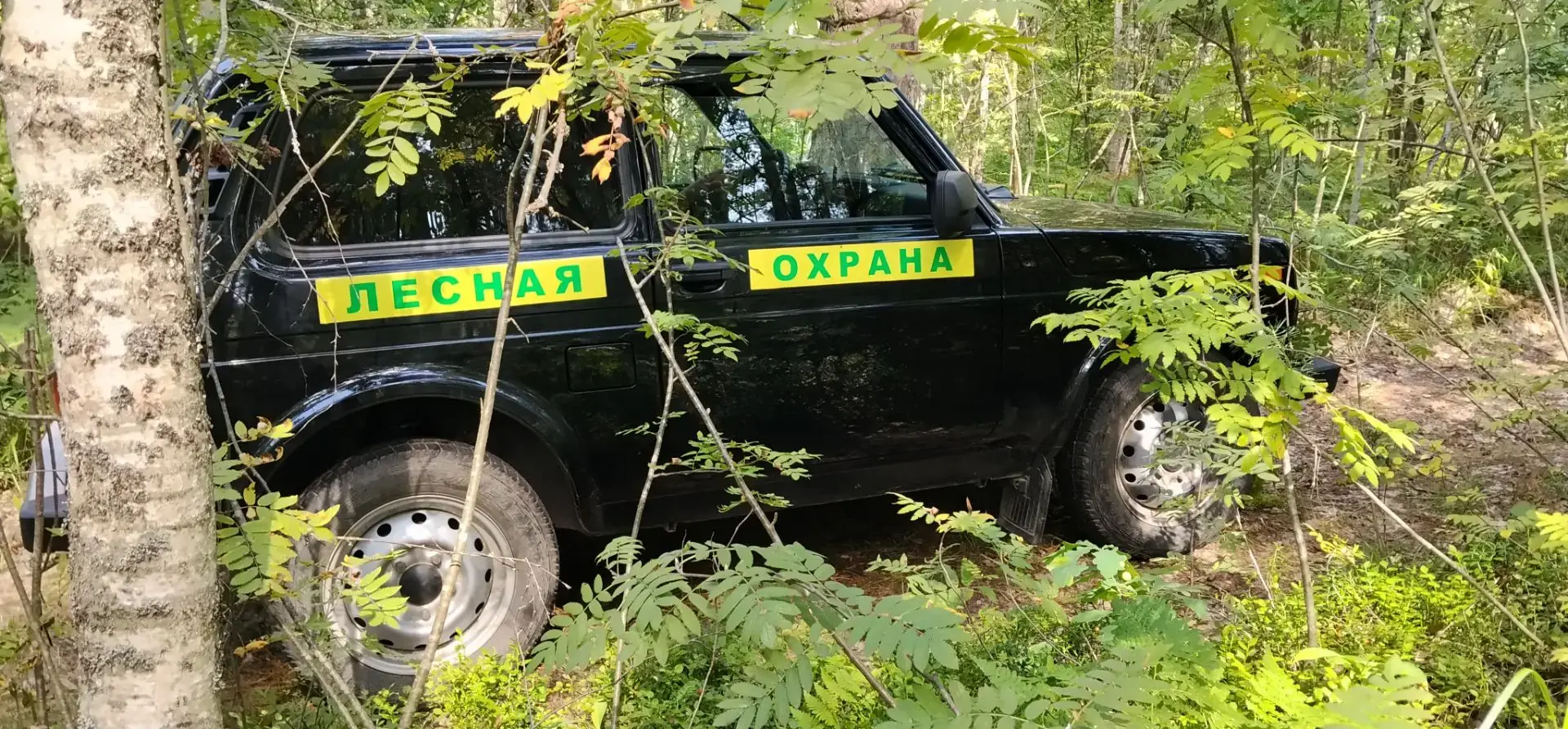 Сотрудники Краснослободского территориального лесничества каждый день патрулируют лесны...