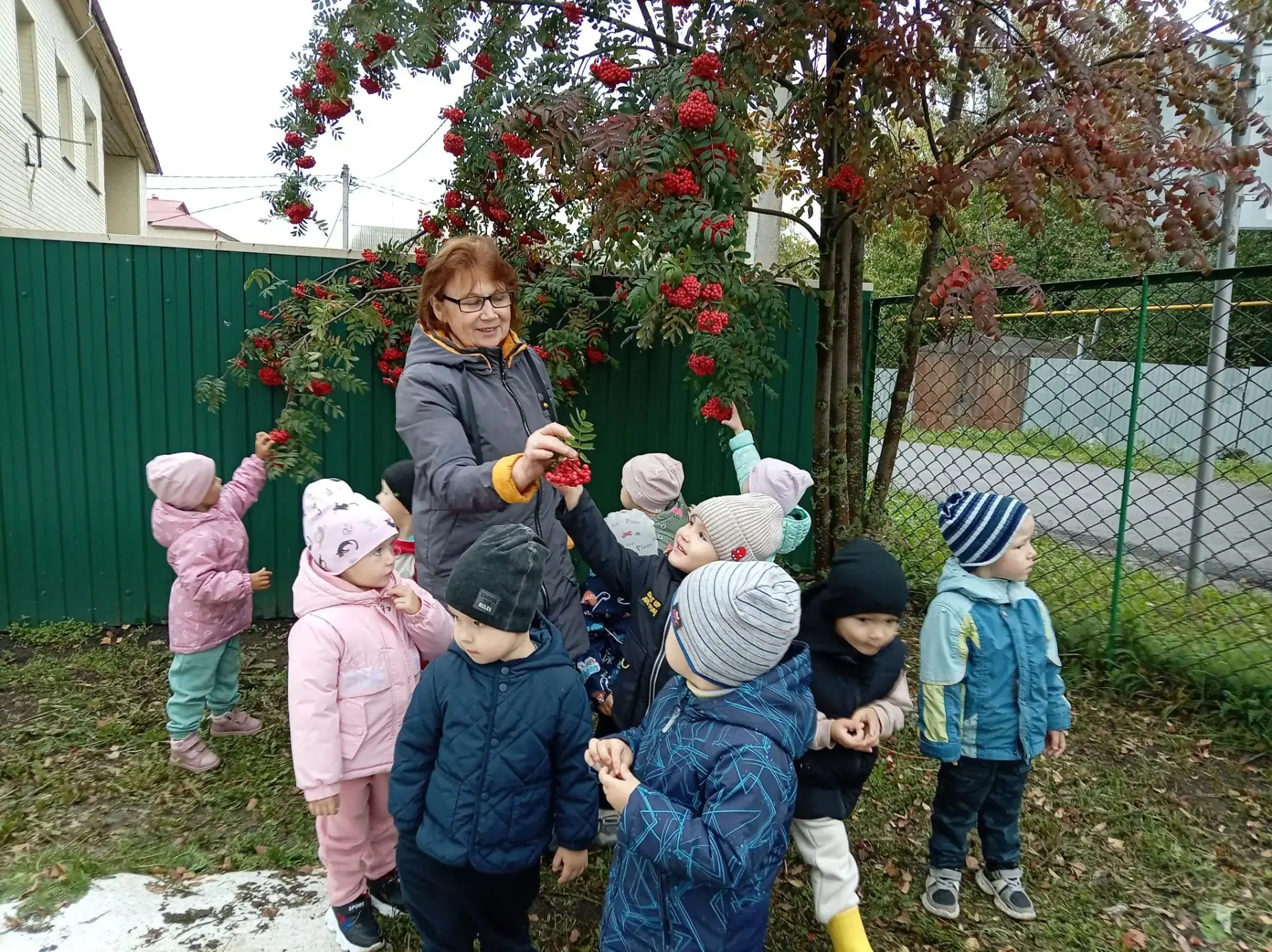 🔥Красные, красивые ягоды, осенью.