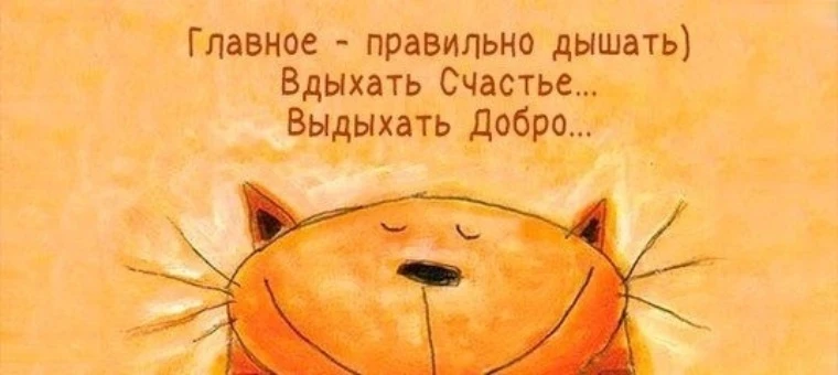 Поставь 👍
