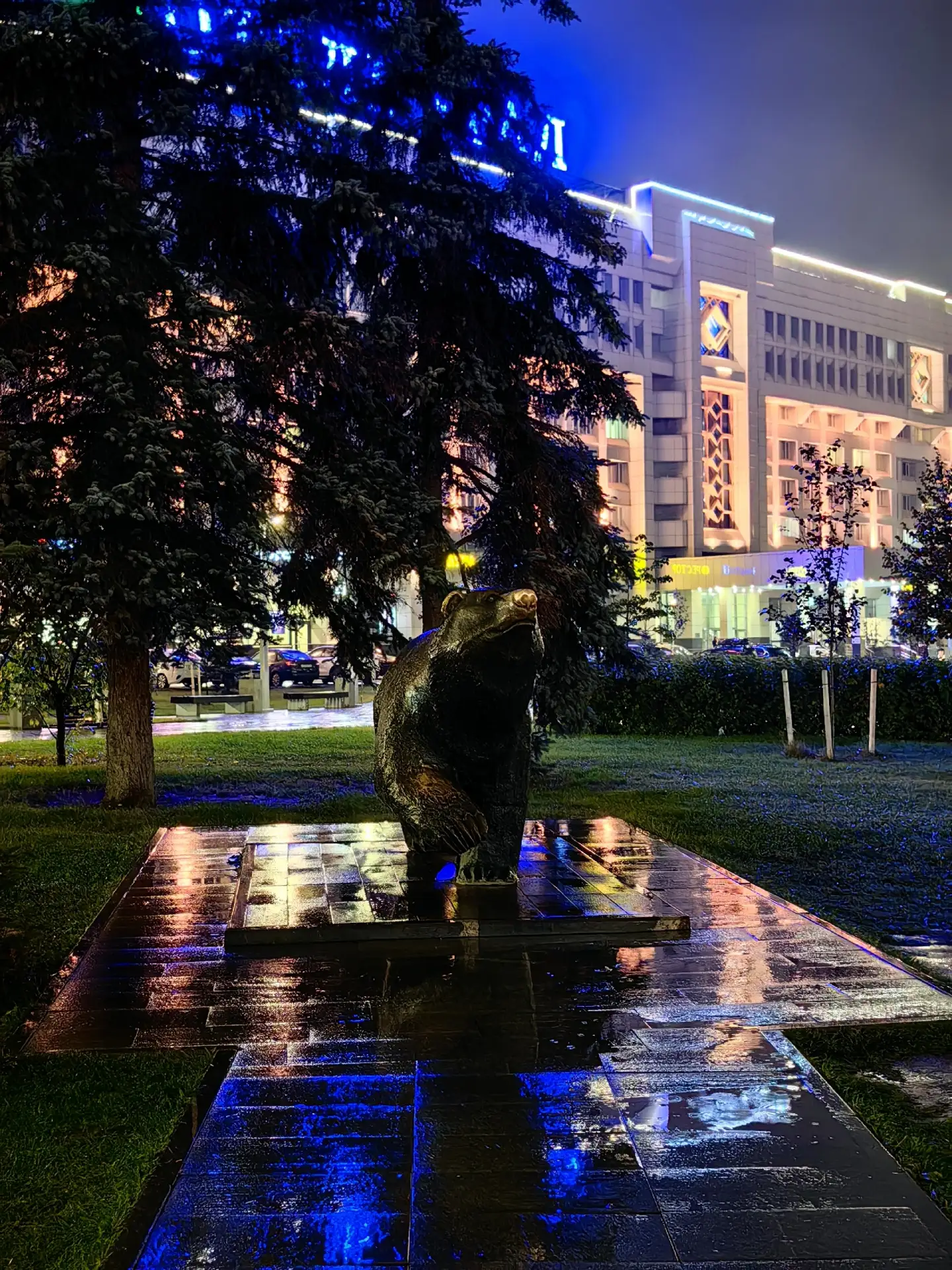 🍁 Осенняя Пермь вечером особенно хороша, когда город зажигает огни, а жёлтая листва ст...