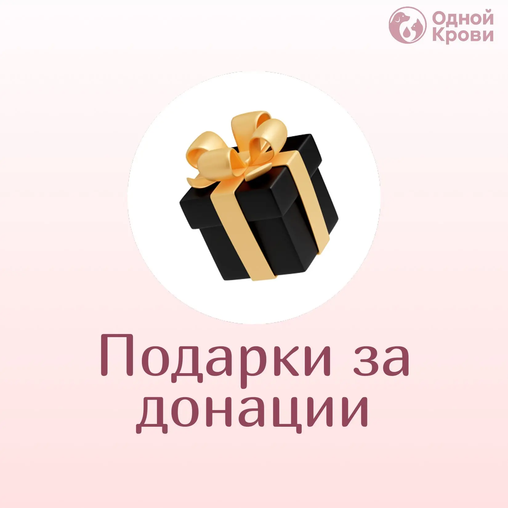 Забота о питомце – с приятными бонусами для вас