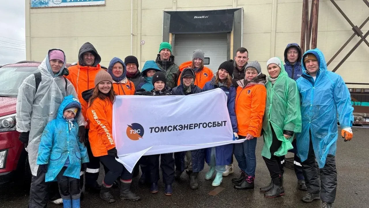 Томскэнергосбыт на зеленой стороне