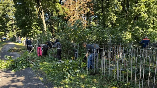 В Курске работники культуры вырубили сорняк на Никитском кладбище