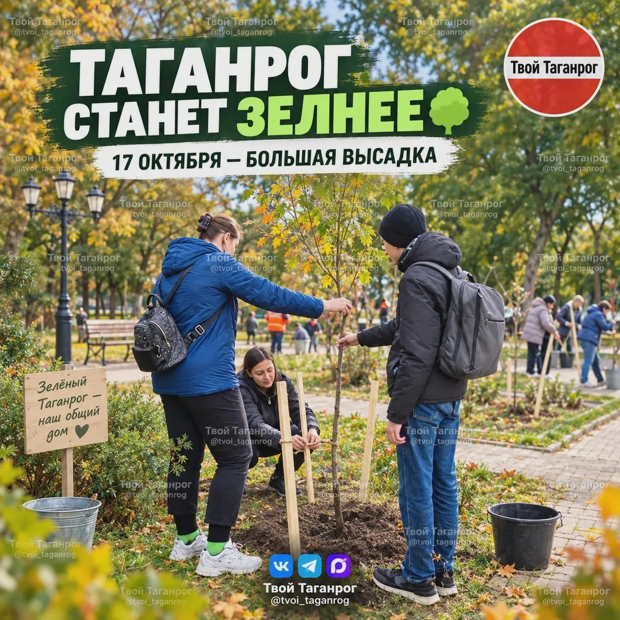 🌳 Более 560 деревьев и кустарников высадят в Таганроге