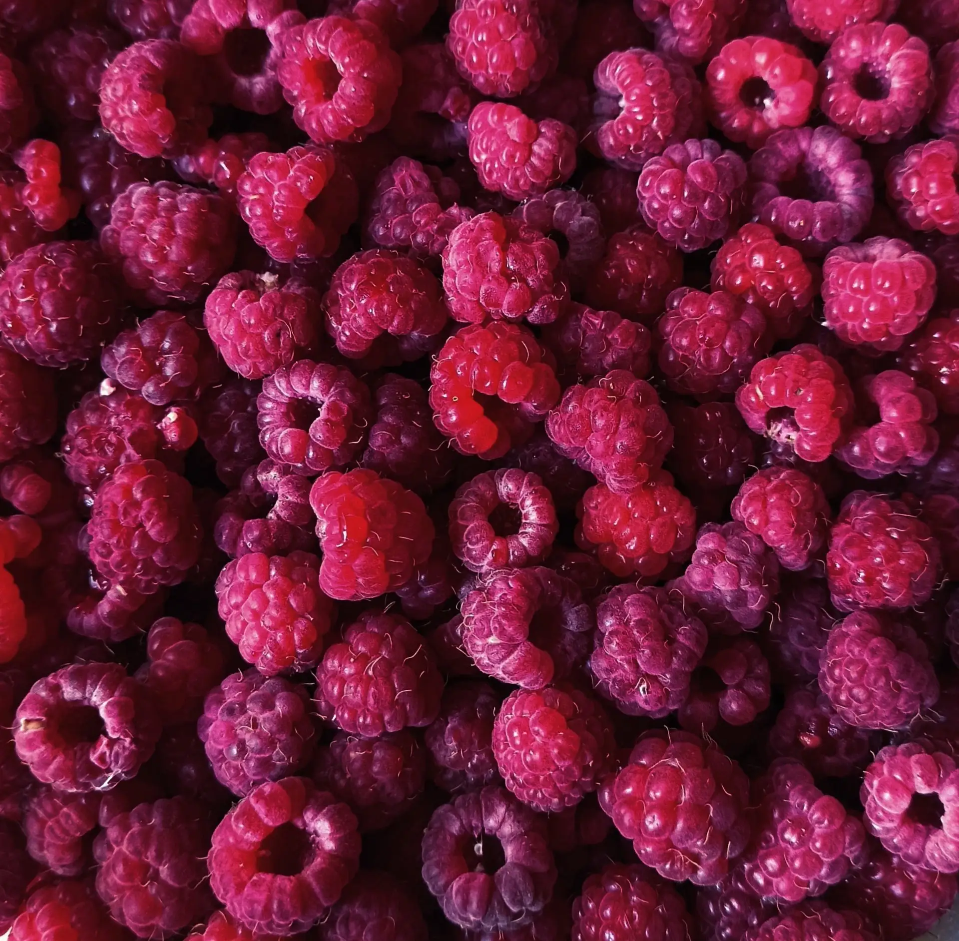 🍓 Фото с ярким запахом лета! Нижегородцы вовсю хвастаются своим лесным уловом.